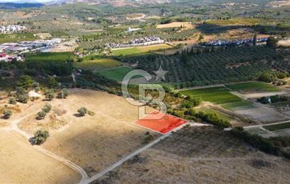 KUŞADASI DAVUTLAR SATILIK ARSA