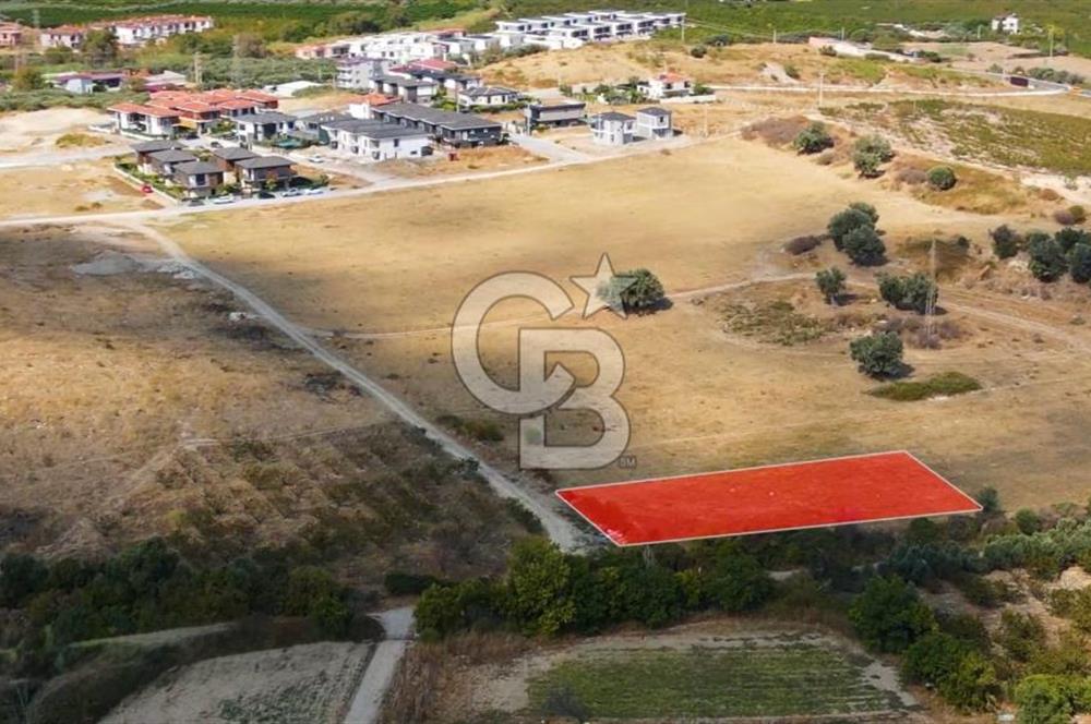KUŞADASI DAVUTLAR SATILIK ARSA