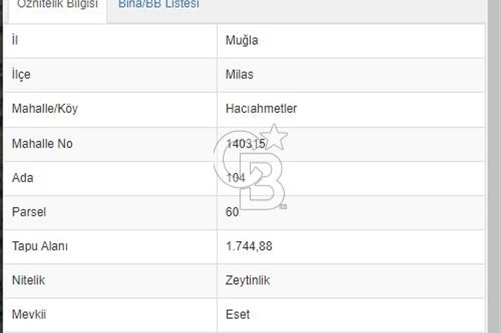 MİLAS HACIAHMETLER YATIRIMLIK ZEYTİNLİK FIRSAT