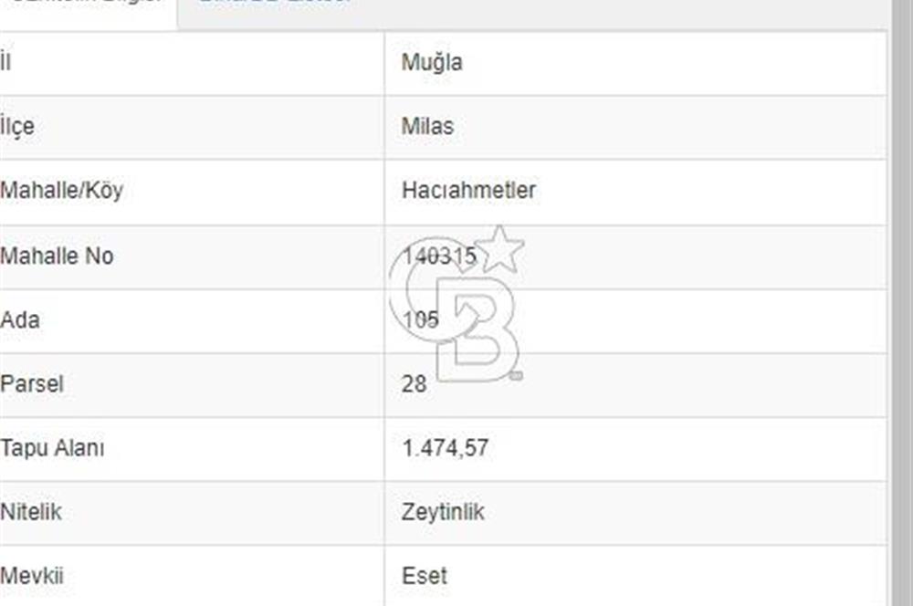 MUĞLA MİLAS HACIAHMETLER YATIRIMLIK ZEYTİNLİK
