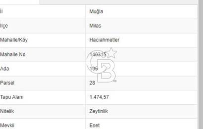 MUĞLA MİLAS HACIAHMETLER YATIRIMLIK ZEYTİNLİK