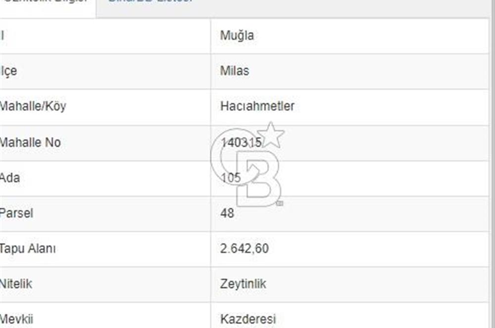 MİLAS HACIAHMETLER ULAŞIM YOLU AÇIK YATIRIMLIK ZEYTİNLİK