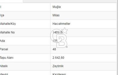 MİLAS HACIAHMETLER ULAŞIM YOLU AÇIK YATIRIMLIK ZEYTİNLİK