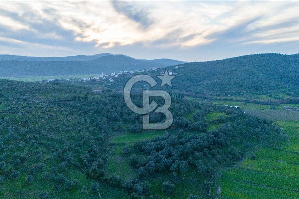 BODRUM TEPECİK KARAOVA KONUT İMARI KULLANILABİLEN DÜZ TARLA