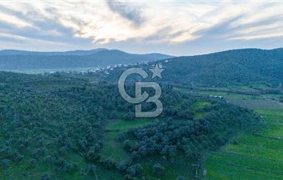 BODRUM TEPECİK KARAOVA KONUT İMARI KULLANILABİLEN DÜZ TARLA