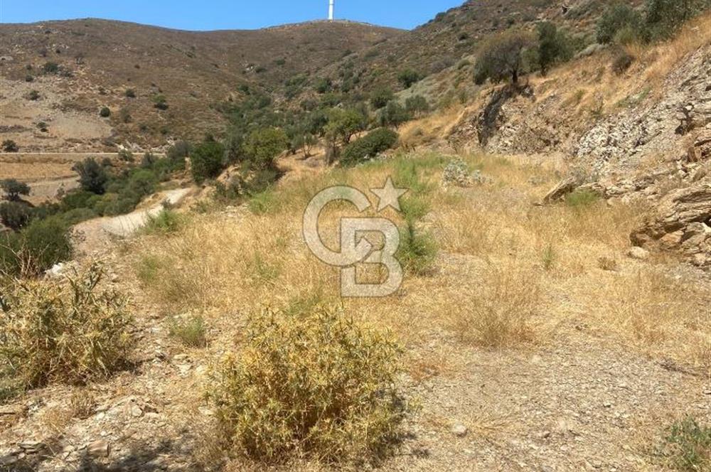 Karaburun Sarpincikta ful deniz manzaralı yola cephe düz arazi