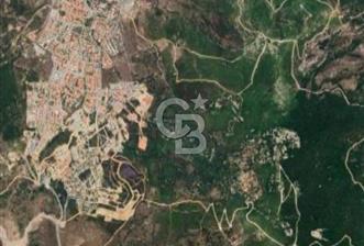 İZMİR YENİ FOÇA'DA LİMANA YAKIN BÜYÜK,DÜZGÜN KIYMETLİ ARSA