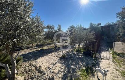 MANİSA SARUHANLI HACIRAHMANLI KOYUNDE SATILIK ARSA VE ÜSTÜNDE EV 