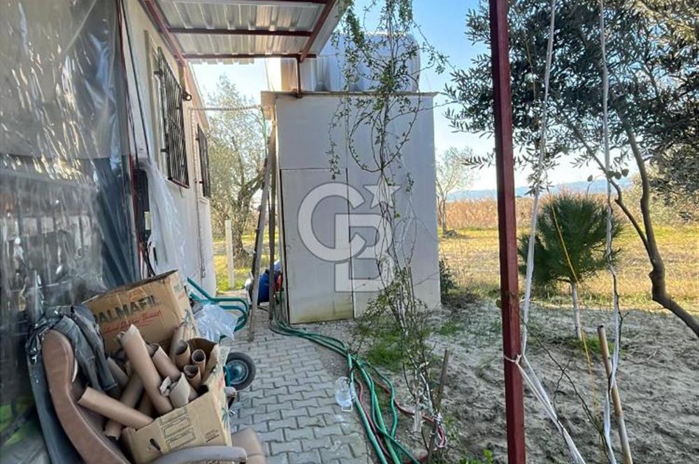 MANİSA SARUHANLI HACIRAHMANLI KOYUNDE SATILIK ARSA VE ÜSTÜNDE EV 