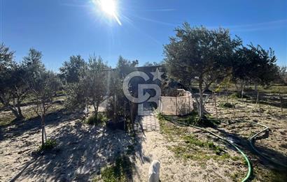 MANİSA SARUHANLI HACIRAHMANLI KOYUNDE SATILIK ARSA VE ÜSTÜNDE EV 
