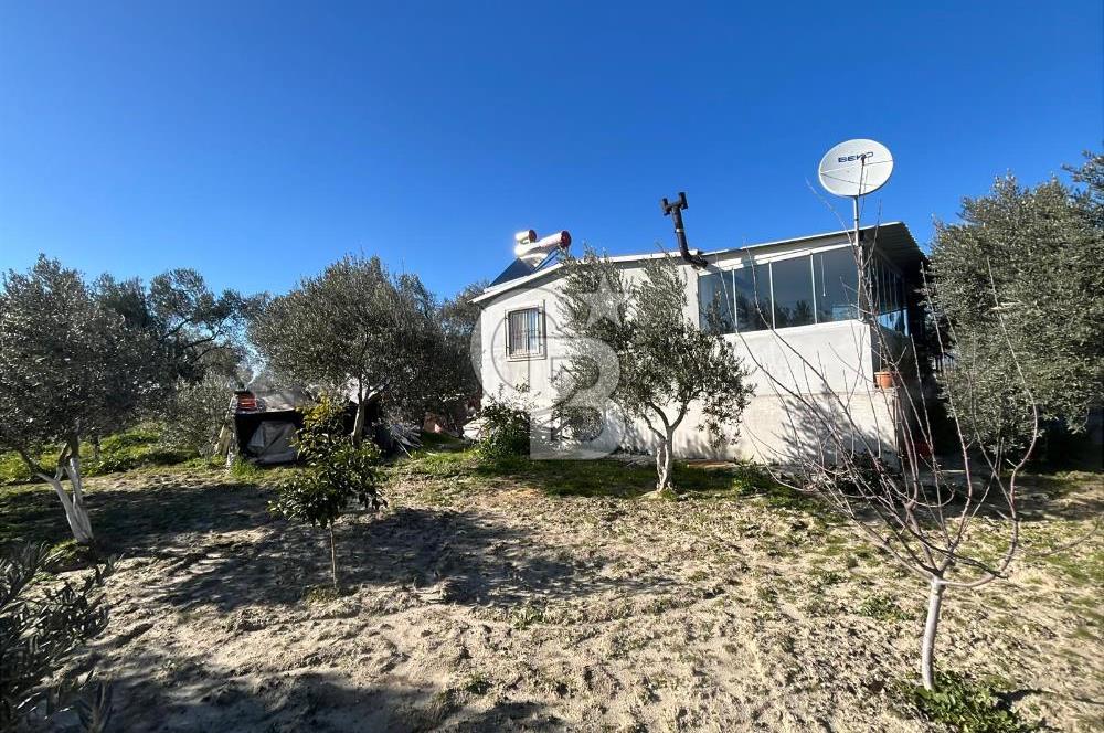 MANİSA SARUHANLI HACIRAHMANLI KOYUNDE SATILIK ARSA VE ÜSTÜNDE EV 