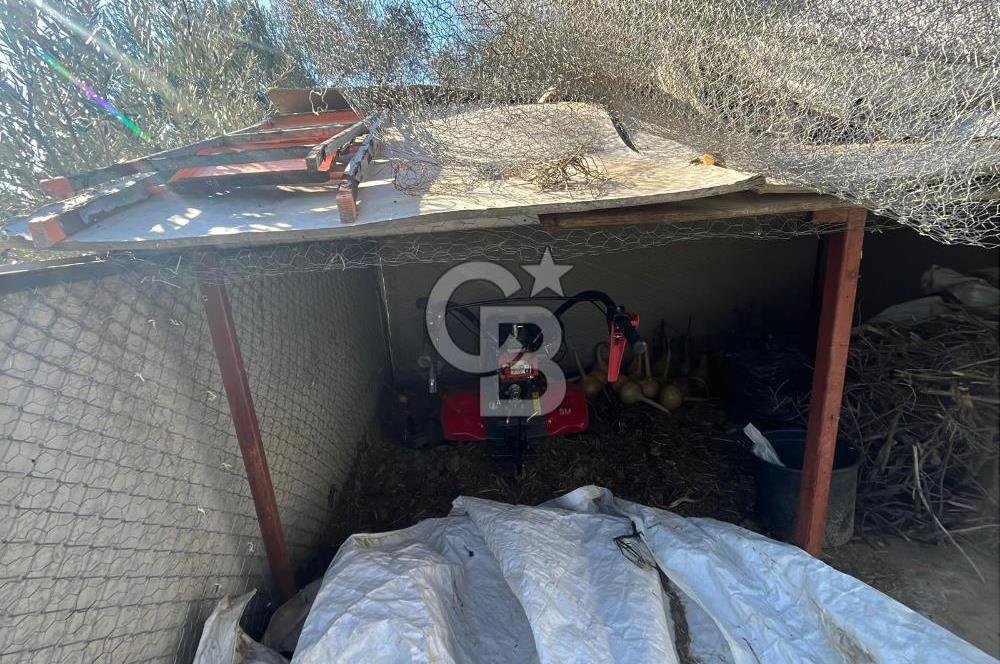 MANİSA SARUHANLI HACIRAHMANLI KOYUNDE SATILIK ARSA VE ÜSTÜNDE EV 