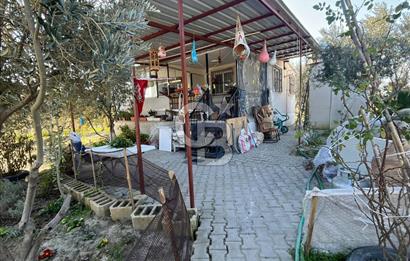 MANİSA SARUHANLI HACIRAHMANLI KOYUNDE SATILIK ARSA VE ÜSTÜNDE EV 