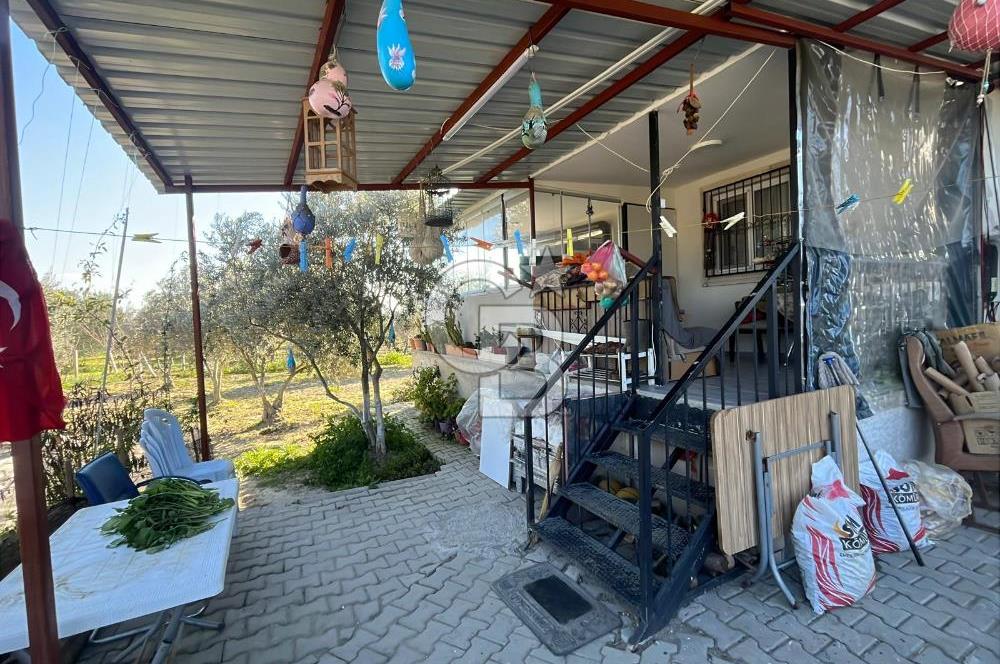 MANİSA SARUHANLI HACIRAHMANLI KOYUNDE SATILIK ARSA VE ÜSTÜNDE EV 