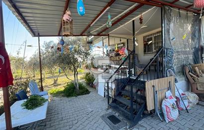 MANİSA SARUHANLI HACIRAHMANLI KOYUNDE SATILIK ARSA VE ÜSTÜNDE EV 