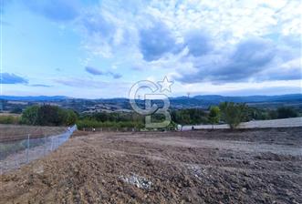 YALOVA ÇİFTLİKKÖY İLYASKÖY SATILIK TARLA YOL HAKKIN ALINMIŞ !. 