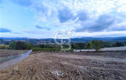 YALOVA ÇİFTLİKKÖY İLYASKÖY SATILIK TARLA YOL HAKKIN ALINMIŞ !. 