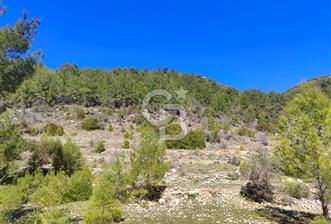 A. Işıklarda satılık 1219 m2 tarla