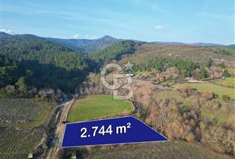 Çanakkale Yenice Kurtlar Köyünde 2.744 M² Satılık Tarla !
