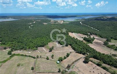 CB NOVO'DAN ÇATALCA HİSARBEYLİ DE 2100 M2 KÖY İÇİ İMARLI ARSA