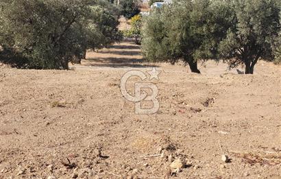 Aliağa Çakmaklı'da Deniz Manzaralı Satılık Tarla