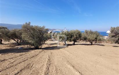 Aliağa Çakmaklı'da Deniz Manzaralı Satılık Tarla