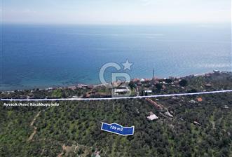 AYVACIK AHMET'ÇE ALTINDA, DENİZE 175M MESAFEDE SATILIK ZEYTİNLİK
