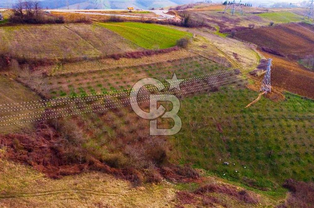 CB AKADEMİ TOPLUCA KANDIRA YOLU KENARINDA SATILIK 2431 m2 TARLA