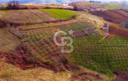 CB AKADEMİ TOPLUCA KANDIRA YOLU KENARINDA SATILIK 2431 m2 TARLA