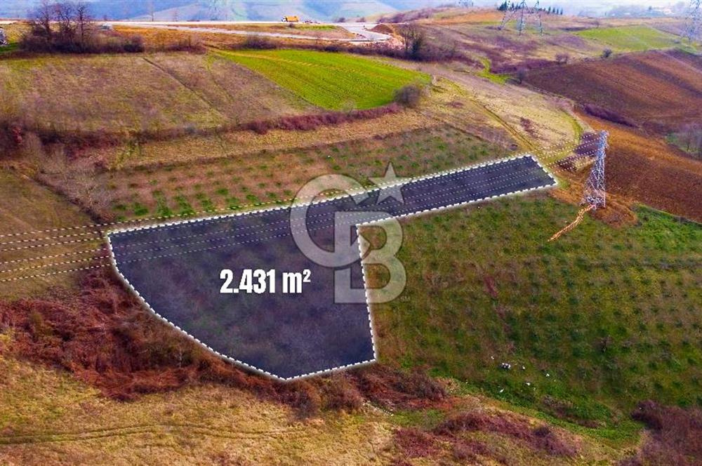 CB AKADEMİ TOPLUCA KANDIRA YOLU KENARINDA SATILIK 2431 m2 TARLA