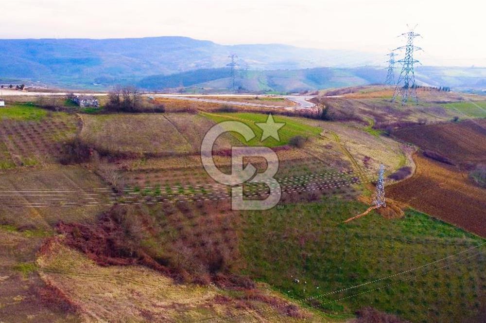 CB AKADEMİ TOPLUCA KANDIRA YOLU KENARINDA SATILIK 2431 m2 TARLA