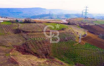 CB AKADEMİ TOPLUCA KANDIRA YOLU KENARINDA SATILIK 2431 m2 TARLA
