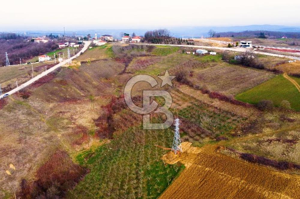 CB AKADEMİ TOPLUCA KANDIRA YOLU KENARINDA SATILIK 2431 m2 TARLA