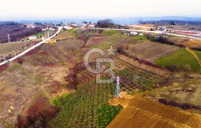 CB AKADEMİ TOPLUCA KANDIRA YOLU KENARINDA SATILIK 2431 m2 TARLA