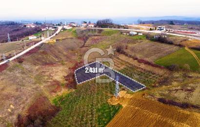 CB AKADEMİ TOPLUCA KANDIRA YOLU KENARINDA SATILIK 2431 m2 TARLA