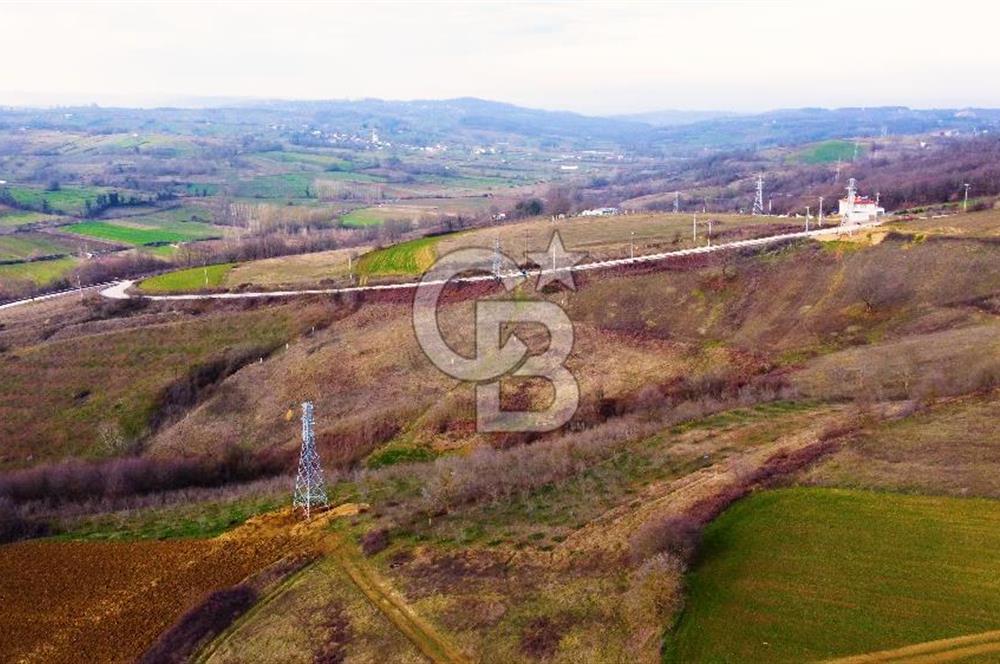 CB AKADEMİ TOPLUCA KANDIRA YOLU KENARINDA SATILIK 2431 m2 TARLA
