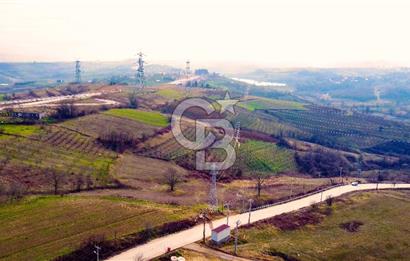 CB AKADEMİ TOPLUCA KANDIRA YOLU KENARINDA SATILIK 2431 m2 TARLA