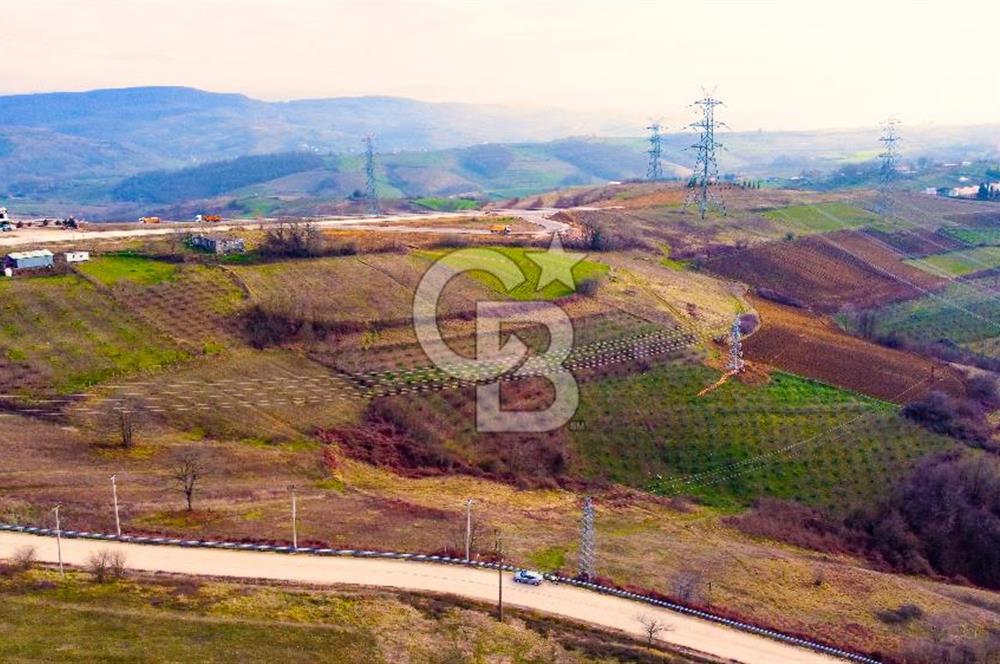 CB AKADEMİ TOPLUCA KANDIRA YOLU KENARINDA SATILIK 2431 m2 TARLA