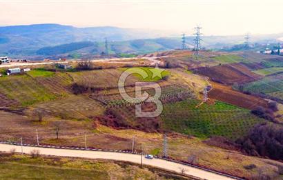 CB AKADEMİ TOPLUCA KANDIRA YOLU KENARINDA SATILIK 2431 m2 TARLA