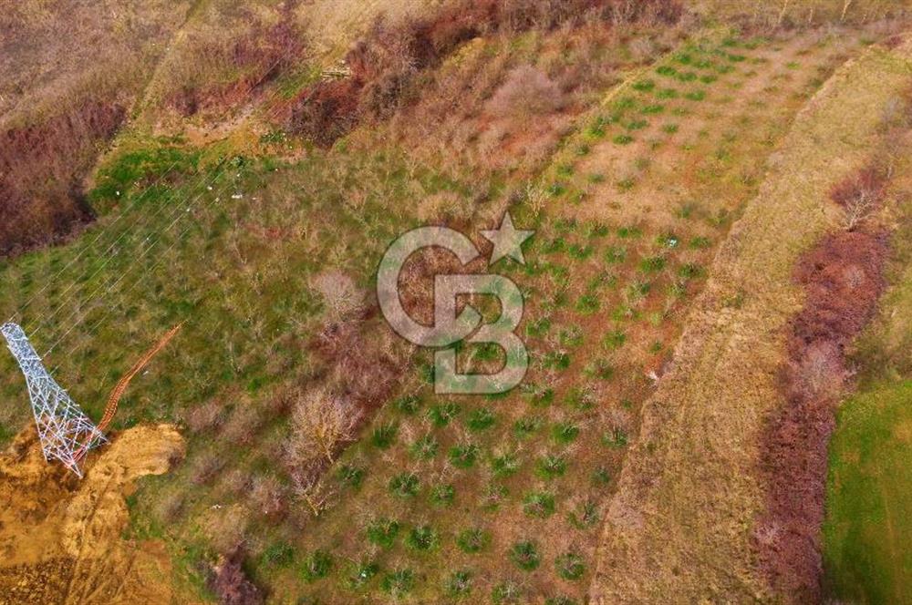 CB AKADEMİ TOPLUCA KANDIRA YOLU KENARINDA SATILIK 2431 m2 TARLA