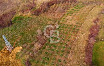 CB AKADEMİ TOPLUCA KANDIRA YOLU KENARINDA SATILIK 2431 m2 TARLA