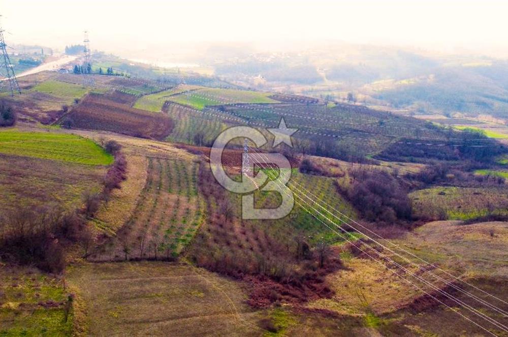 CB AKADEMİ TOPLUCA KANDIRA YOLU KENARINDA SATILIK 2431 m2 TARLA