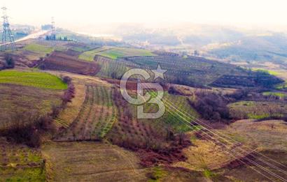 CB AKADEMİ TOPLUCA KANDIRA YOLU KENARINDA SATILIK 2431 m2 TARLA