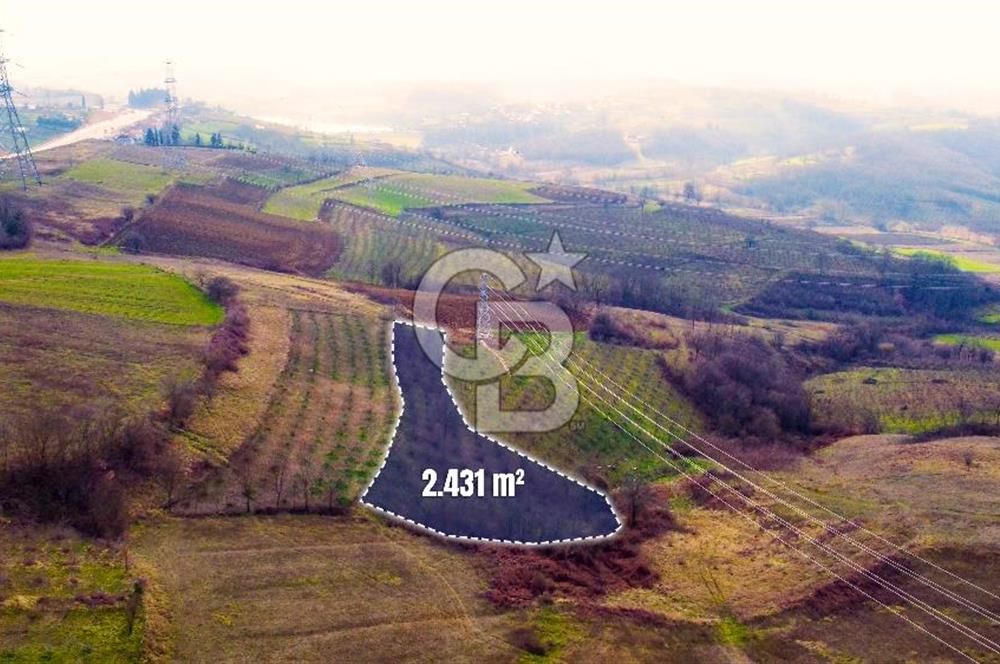 CB AKADEMİ TOPLUCA KANDIRA YOLU KENARINDA SATILIK 2431 m2 TARLA