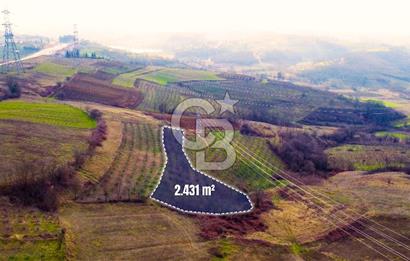 CB AKADEMİ TOPLUCA KANDIRA YOLU KENARINDA SATILIK 2431 m2 TARLA