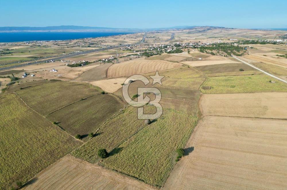ÇANAKKALE GELİBOLU BOLAYIR DENİZ GÖREN SATILIK 9 DÖNÜM TARLA