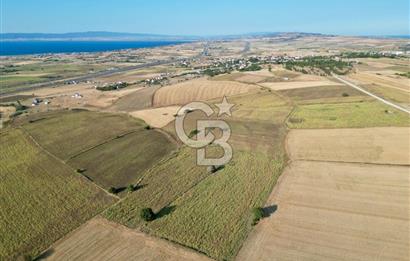 ÇANAKKALE GELİBOLU BOLAYIR DENİZ GÖREN SATILIK 9 DÖNÜM TARLA