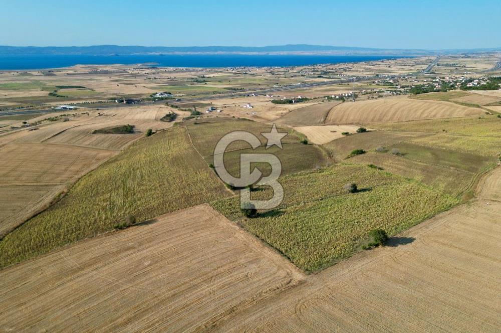 ÇANAKKALE GELİBOLU BOLAYIR DENİZ GÖREN SATILIK 9 DÖNÜM TARLA