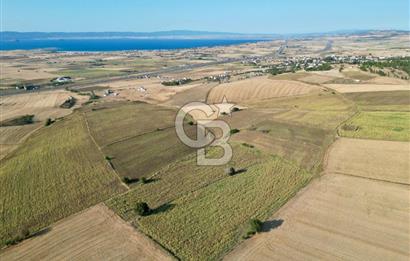 ÇANAKKALE GELİBOLU BOLAYIR DENİZ GÖREN SATILIK 9 DÖNÜM TARLA