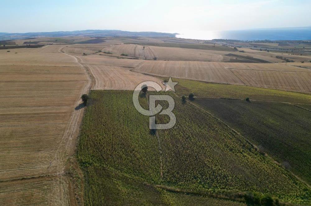 ÇANAKKALE GELİBOLU BOLAYIR DENİZ GÖREN SATILIK 9 DÖNÜM TARLA